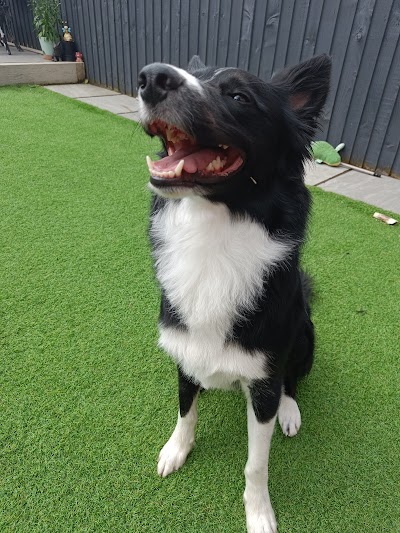 Photo associated with Emma's Dog Grooming
