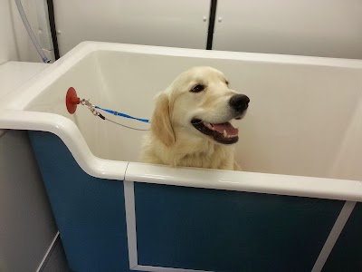 Photo associated with Grrroomies Dog Grooming Service