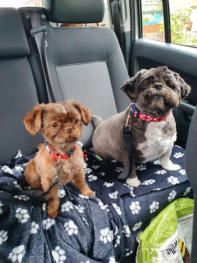 Photo associated with Grrroomies Dog Grooming Service