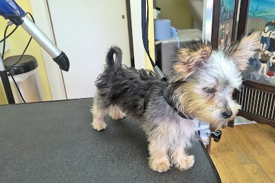 Photo associated with Top Dog Groomers