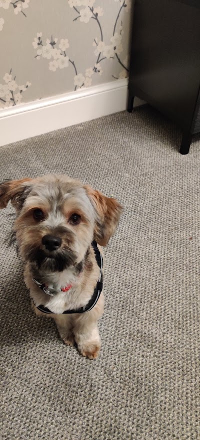 Photo associated with Mucky Mutts Professional Pet Grooming