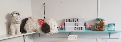 Photo associated with For Dogs Sake Dog grooming