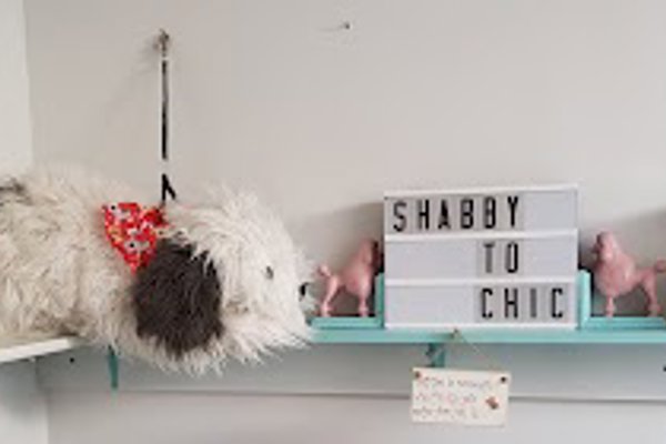 Photo associated with For Dogs Sake Dog grooming