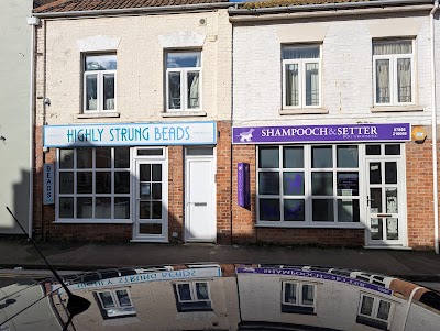 Photo associated with Shampooch & Setter dog grooming