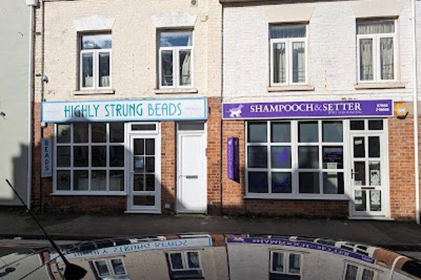 Photo associated with Shampooch & Setter dog grooming