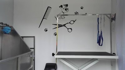 Photo associated with Whistle and Bark
