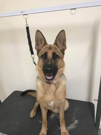 Photo associated with Fishponds Farm Dog Groomers