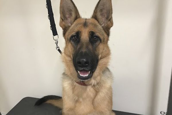 Photo associated with Fishponds Farm Dog Groomers