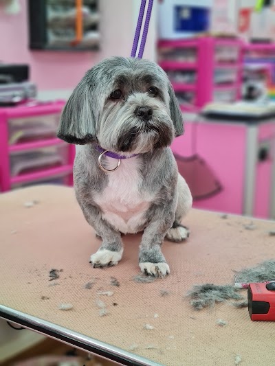 Photo associated with Doggie Style Pet Grooming