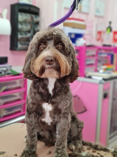 Photo associated with Doggie Style Pet Grooming