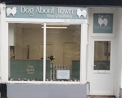 Photo associated with Dog About Town Grooming Salon