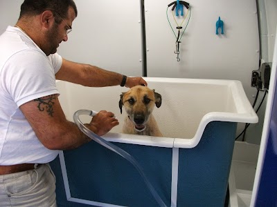 Photo associated with Eds & Tails Mobile Dogwash