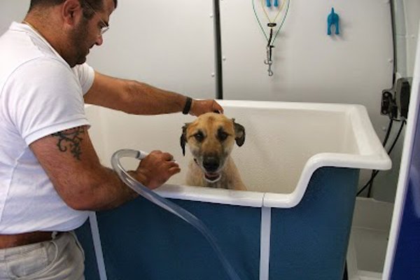 Photo associated with Eds & Tails Mobile Dogwash