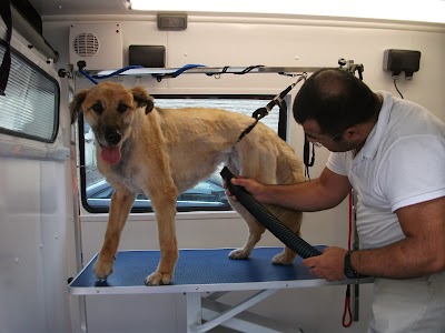 Photo associated with Eds & Tails Mobile Dogwash