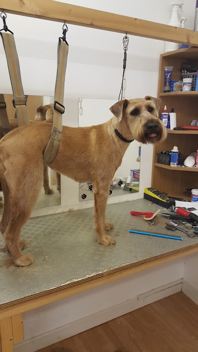 Photo associated with Diamond Dogs Salon