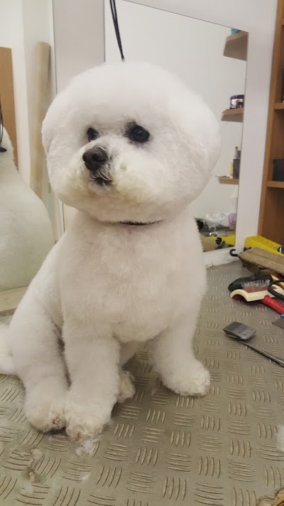 Photo associated with Diamond Dogs Salon
