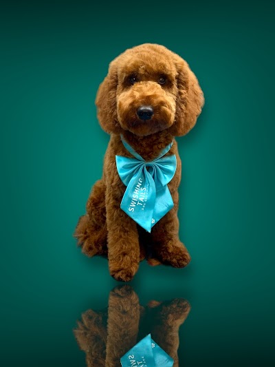 Photo associated with Swishing Tails Dog Grooming