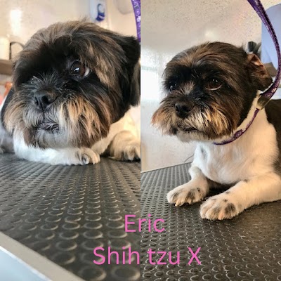 Photo associated with Swishing Tails Dog Grooming