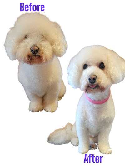 Photo associated with Jazzy Dogs