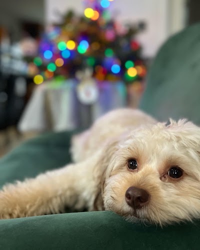 Photo associated with Bubbly Tails