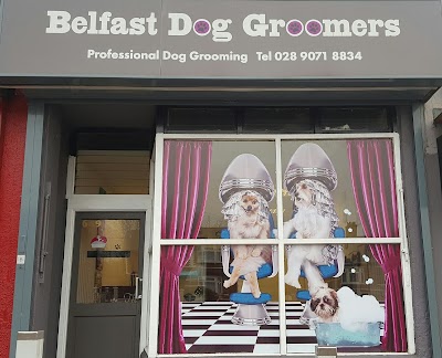 Photo associated with Belfast Dog Groomers
