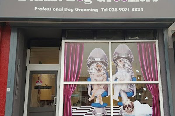 Photo associated with Belfast Dog Groomers