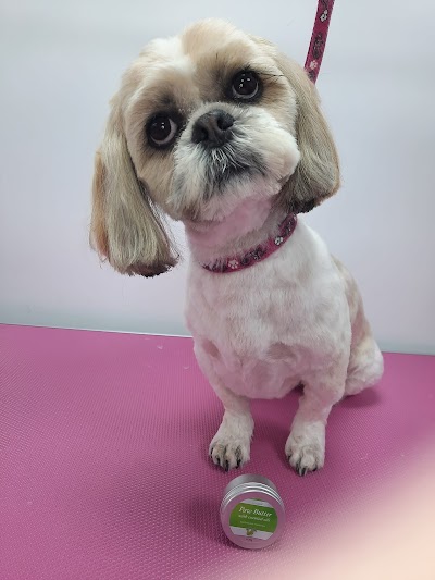 Photo associated with Pet House Groomer