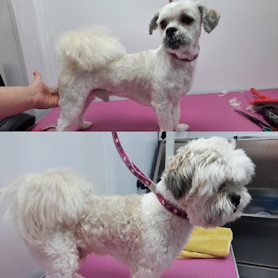 Photo associated with Pet House Groomer