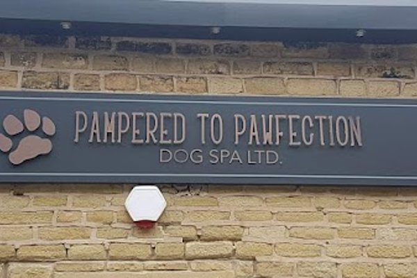 Photo associated with Pampered to Pawfection Dog Spa Ltd