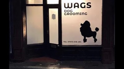 Photo associated with Wags Dog Grooming