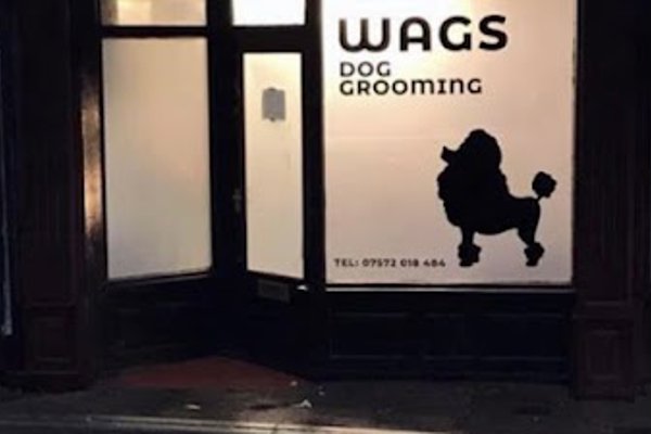 Photo associated with Wags Dog Grooming