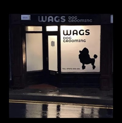 Photo associated with Wags Dog Grooming