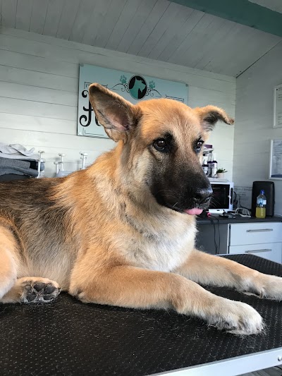 Photo associated with Hound and Barker dog grooming