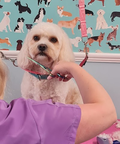 Photo associated with Brontay Dog Grooming