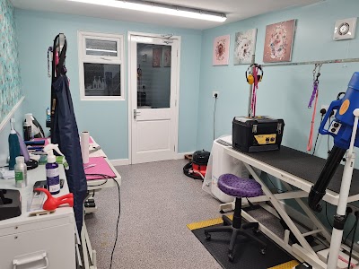 Photo associated with Brontay Dog Grooming