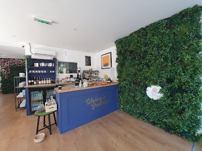 Photo associated with Whiskey's Spa and Grooming Highbury