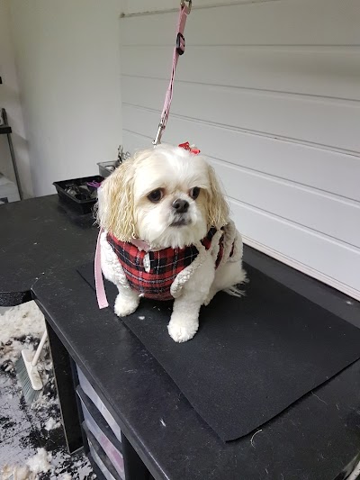 Photo associated with Laura's Dog Grooming