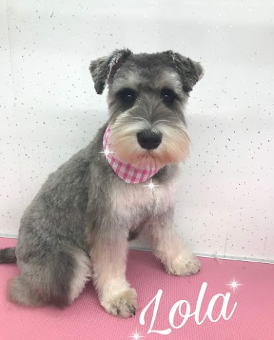 Photo associated with Christines Dog Grooming