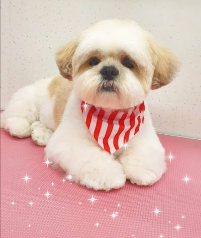 Photo associated with Christines Dog Grooming