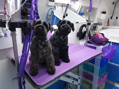 Photo associated with Cleverclix Dog Grooming