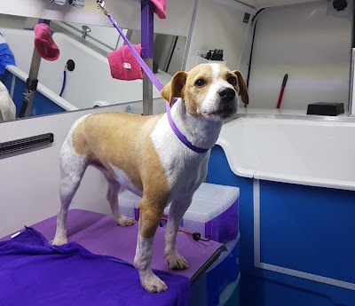 Photo associated with Cleverclix Dog Grooming