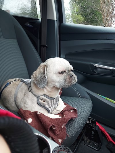 Photo associated with Diane Dog Grooming