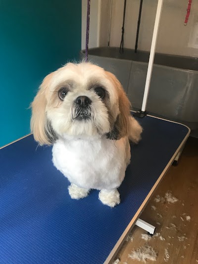 Photo associated with Masters Grooming