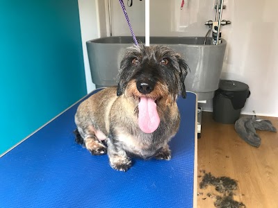 Photo associated with Masters Grooming