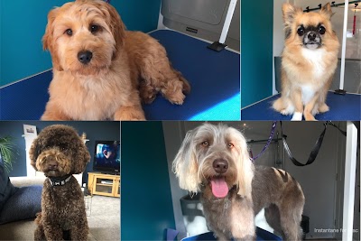 Photo associated with Masters Grooming