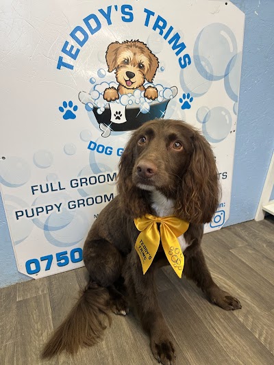 Photo associated with Teddy’s Trims Dog Grooming