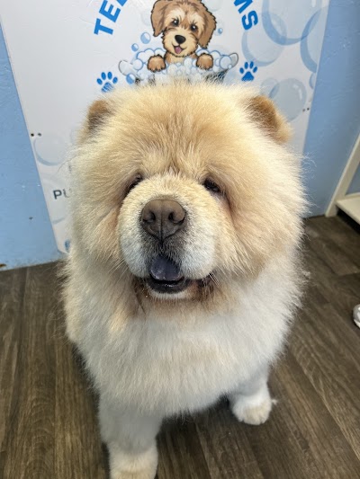 Photo associated with Teddy’s Trims Dog Grooming