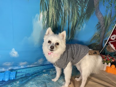 Photo associated with Diane Taylor dog grooming & pretty paws pet shop