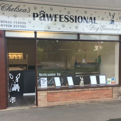 Photo associated with Chelsea's Pawfessional Dog Groomers