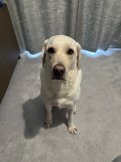 Photo associated with Chopper’s Pet Grooming